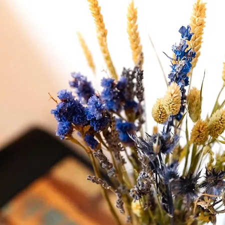 Studio Fuer 2 Gaeste - Bocholt Zentrum - Kostenloser Parkplatz * Бохольт