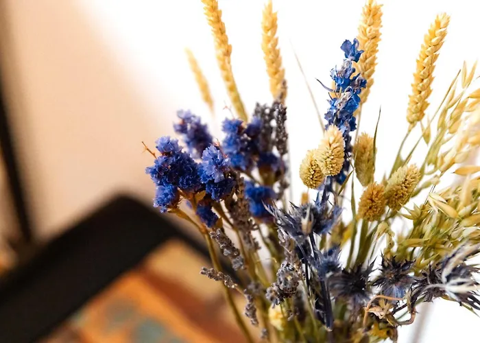 Fuer 2 Gaeste - Zentrum - Kostenloser Parkplatz * بوخولت